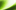 Citizenship Test background image